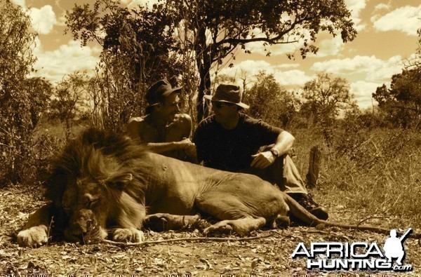 Hunting Lion in Tanzania