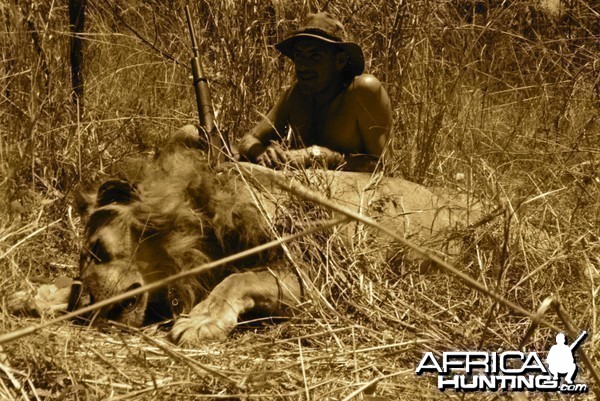 Hunting Lion in Tanzania