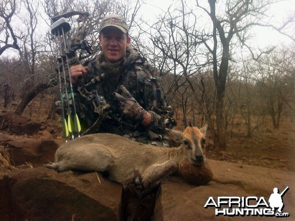 Bowhunting Duiker South Africa