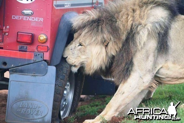 So who's going to volunteer to change the tyre?