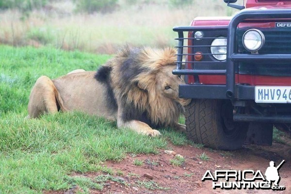 So who's going to volunteer to change the tyre?