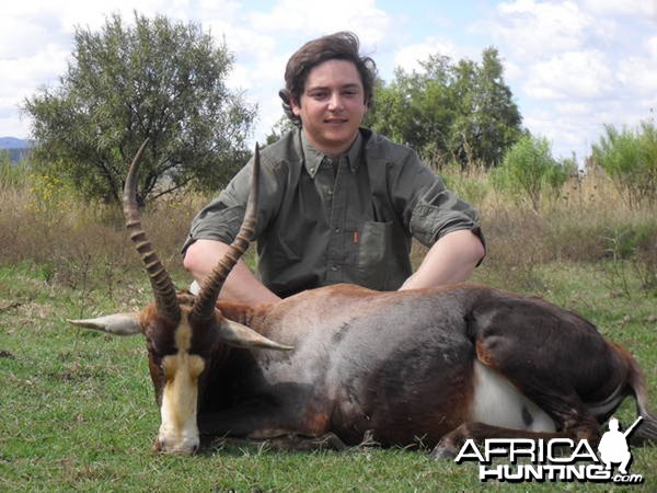 Hunting Blesbok South Africa