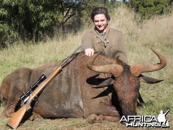 Hunting Blue Wildebeest South Africa