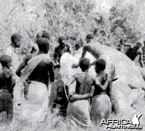 Kenya natives skin a bull Elephant