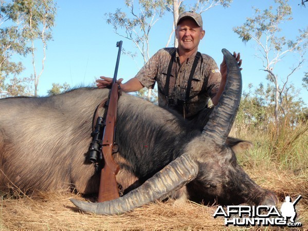 Asiatic buffalo bull, Arnhemland, Australia