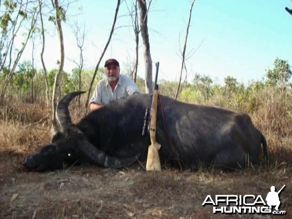 Asiatic buffalo bull, Arnhemland, Australia