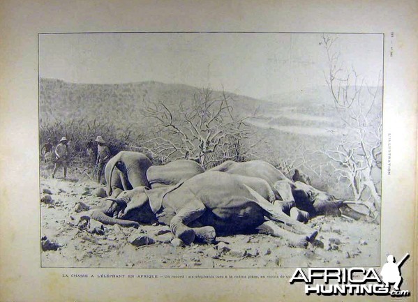 La chasse a L'Elephant en Afrique, 1902