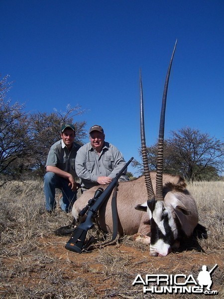 44 inch Gemsbok cow