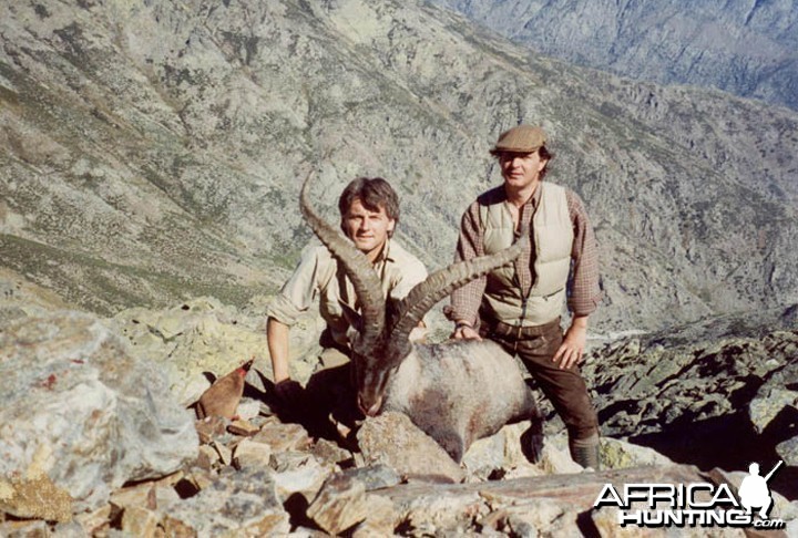 Hunter and Writer J. Alain Smith Gredos Ibex