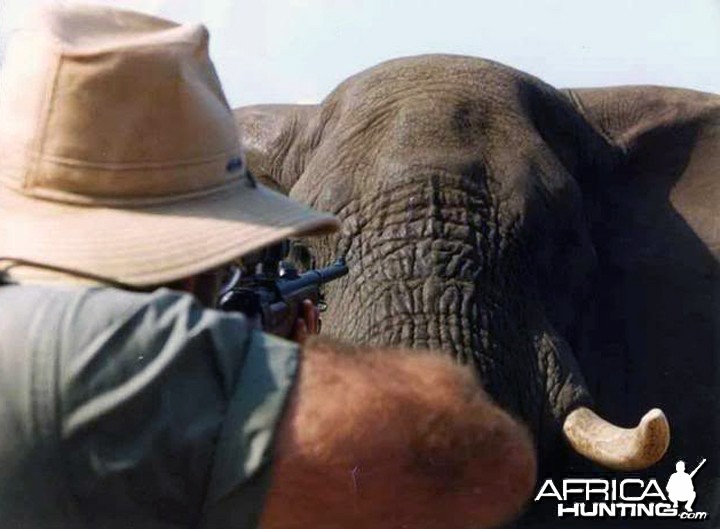 Elephant
