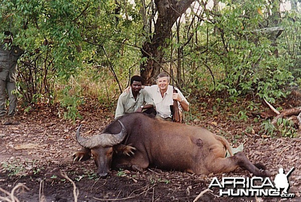 Bela Hidvegi with Dwarf Buffalo hunted in CAR