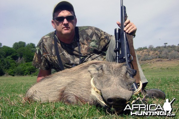 Warthog hunt Eastern Cape SA