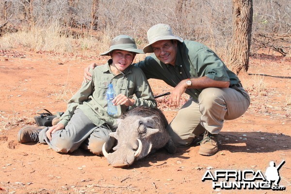 Warthog hunted in Zimbabwe