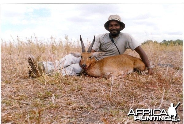 Bohor Reedbuck