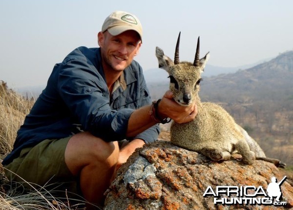 Klipspringer hunted in Zimbabwe