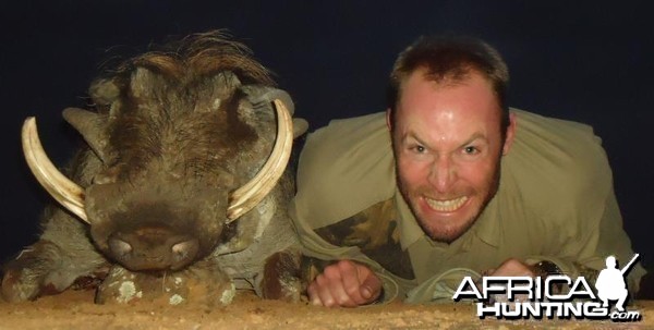 Warthog hunted in Zimbabwe