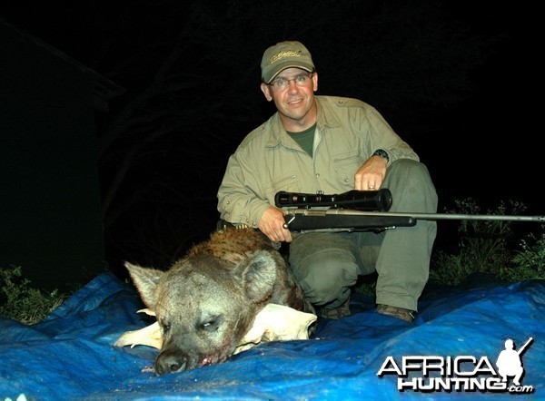 Hyena hunted in South Africa