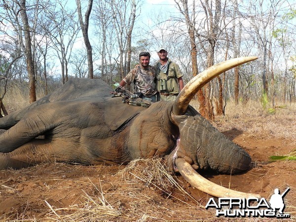 72 pound elephant bowhunt