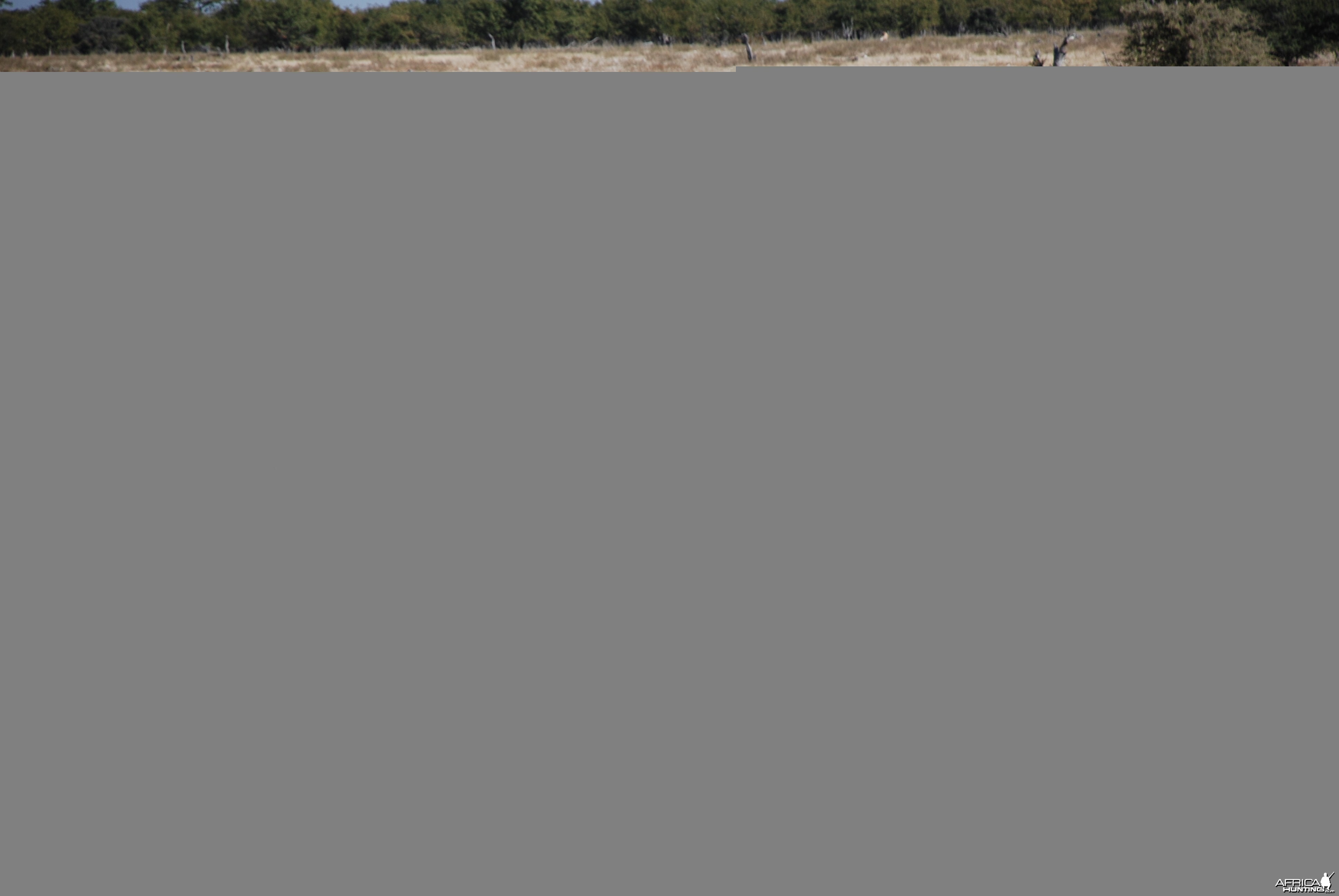Etosha National Park Namibia