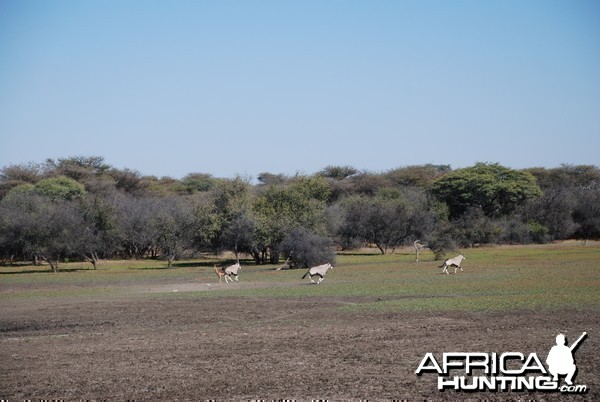 Ozondjahe Hunting Safaris