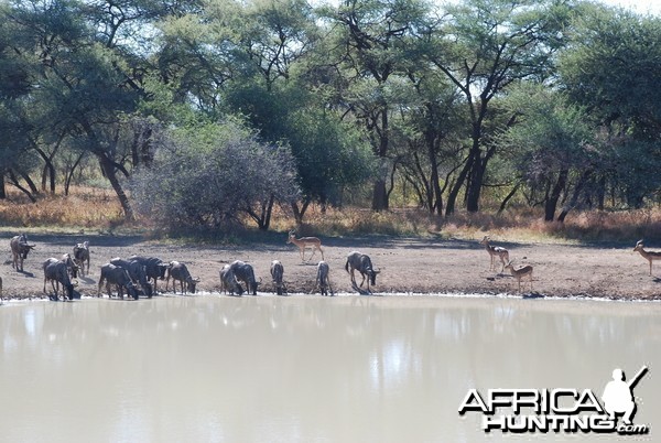 Ozondjahe Hunting Safaris, Namibia