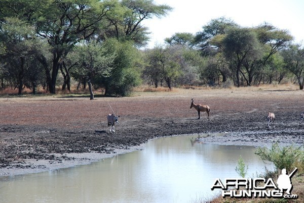 Ozondjahe Hunting Safaris, Namibia