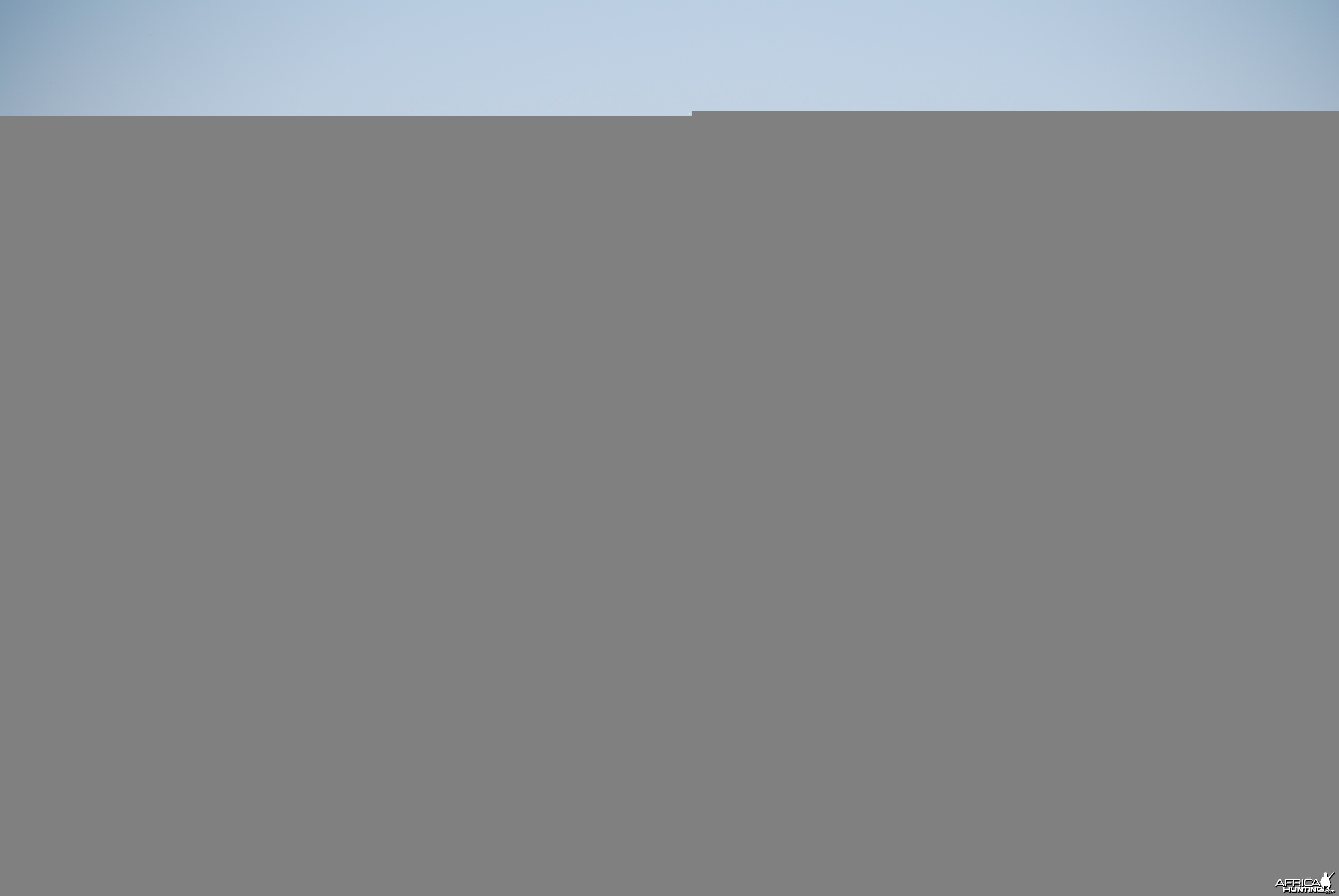 Elephants at Etosha