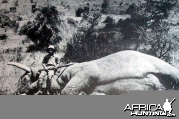 Africa Big Game Hunting Selous Karamojo Bell