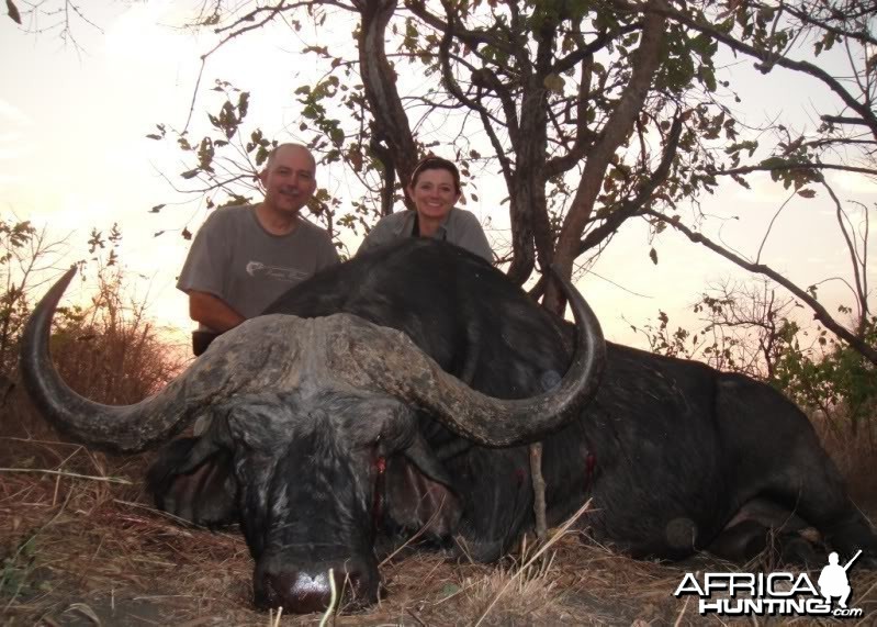 Nearly 49 inches Cape Buffalo hunted in Mozambique
