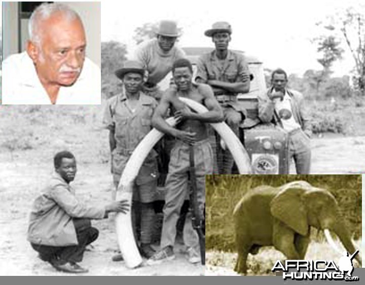 Zambia's most famous poacher of all time Cyrus Kulanga with Elephant tusks 