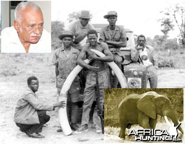 Zambia's most famous poacher of all time Cyrus Kulanga with Elephant tusks 