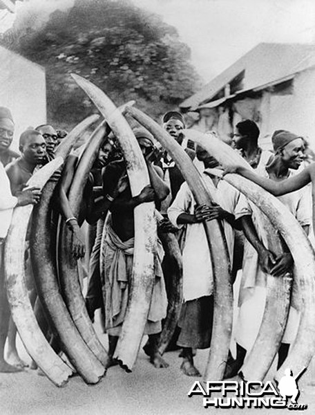 Men with ivory tusks, Dar es Salaam, Tanzania circa 1900