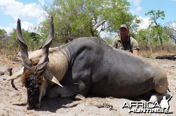 East african Eland from Selous