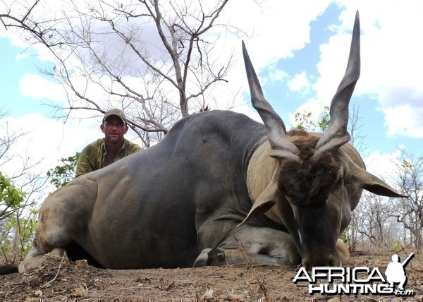 38'' east african Eland