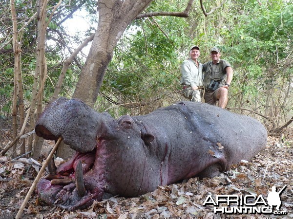 Hunting Hippo in Tanzania