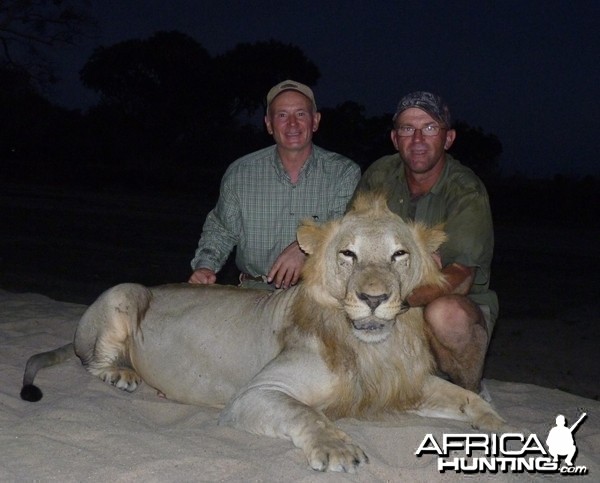 Hunting Lion in Tanzania