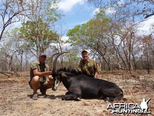 Hunting Sable in Tanzania