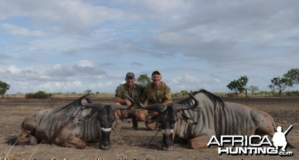 Hunting Nyasaland Wildebeest in Tanzania