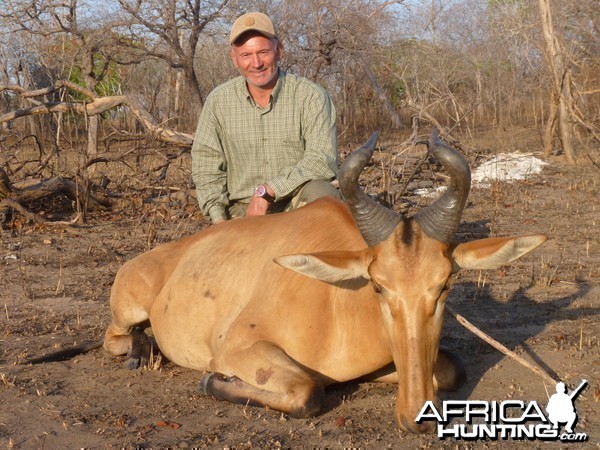 Hunting Hartebeest in Tanzania