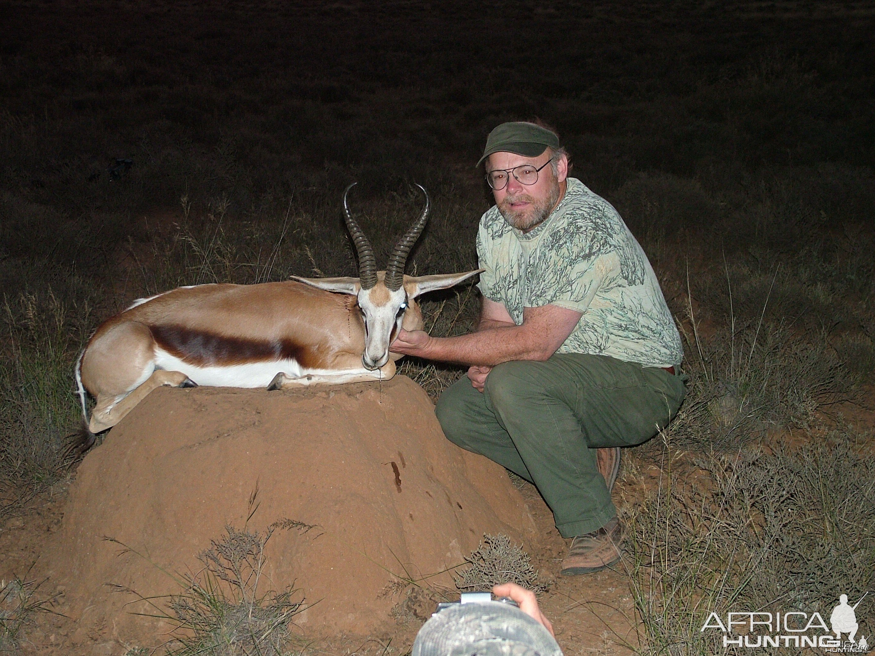 04 cape springbok