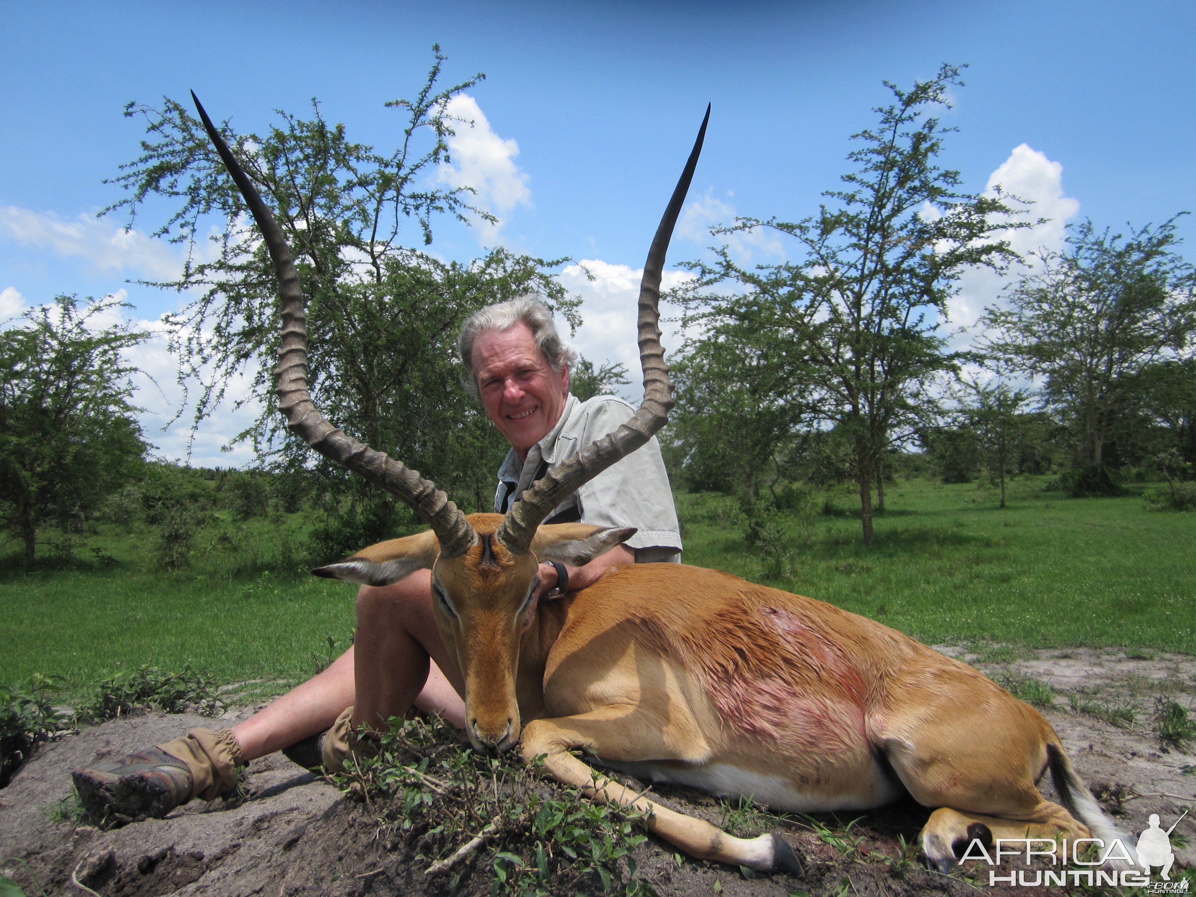 31 inch East African Impala Uganda