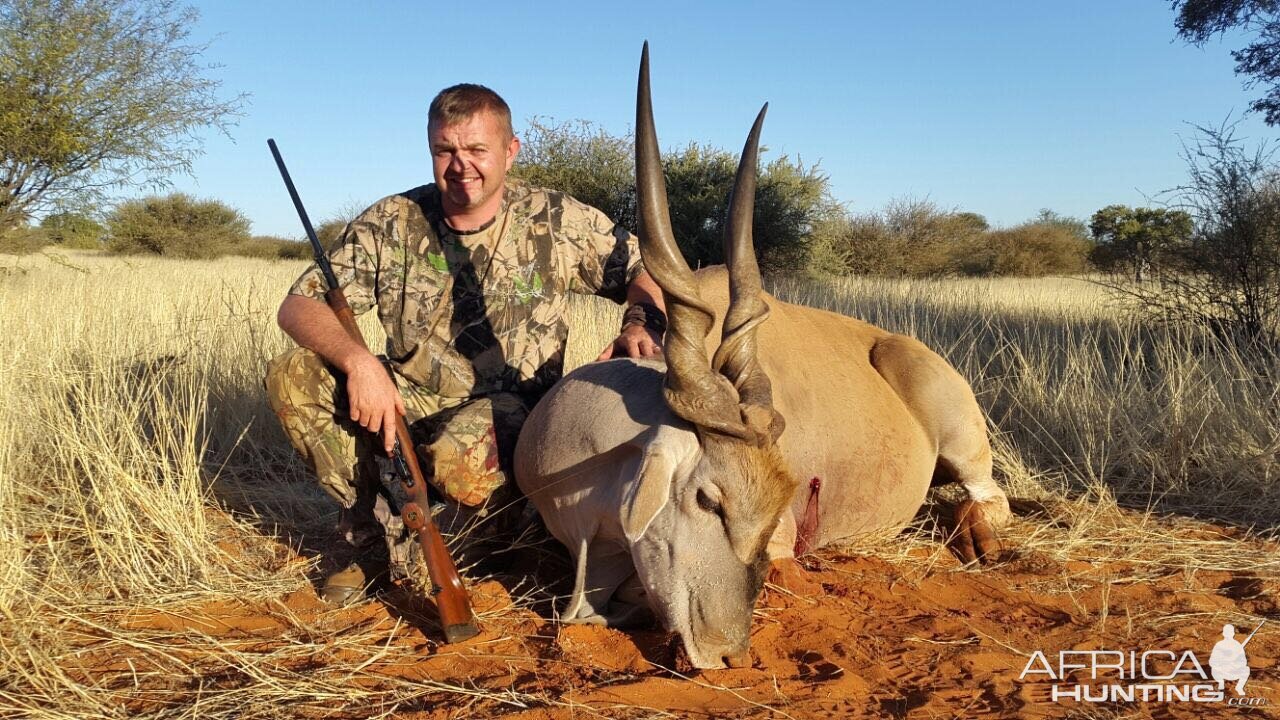44 Inch Monster Cape Eland Bull hunted in Kalahari Namibia