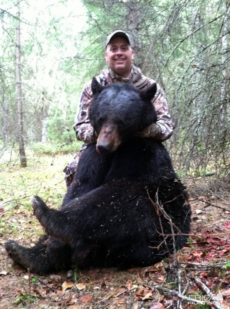 450lb Bear Bow Hunting Saskatchewan Canada