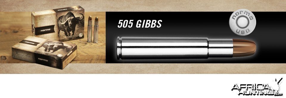 .505 Gibbs