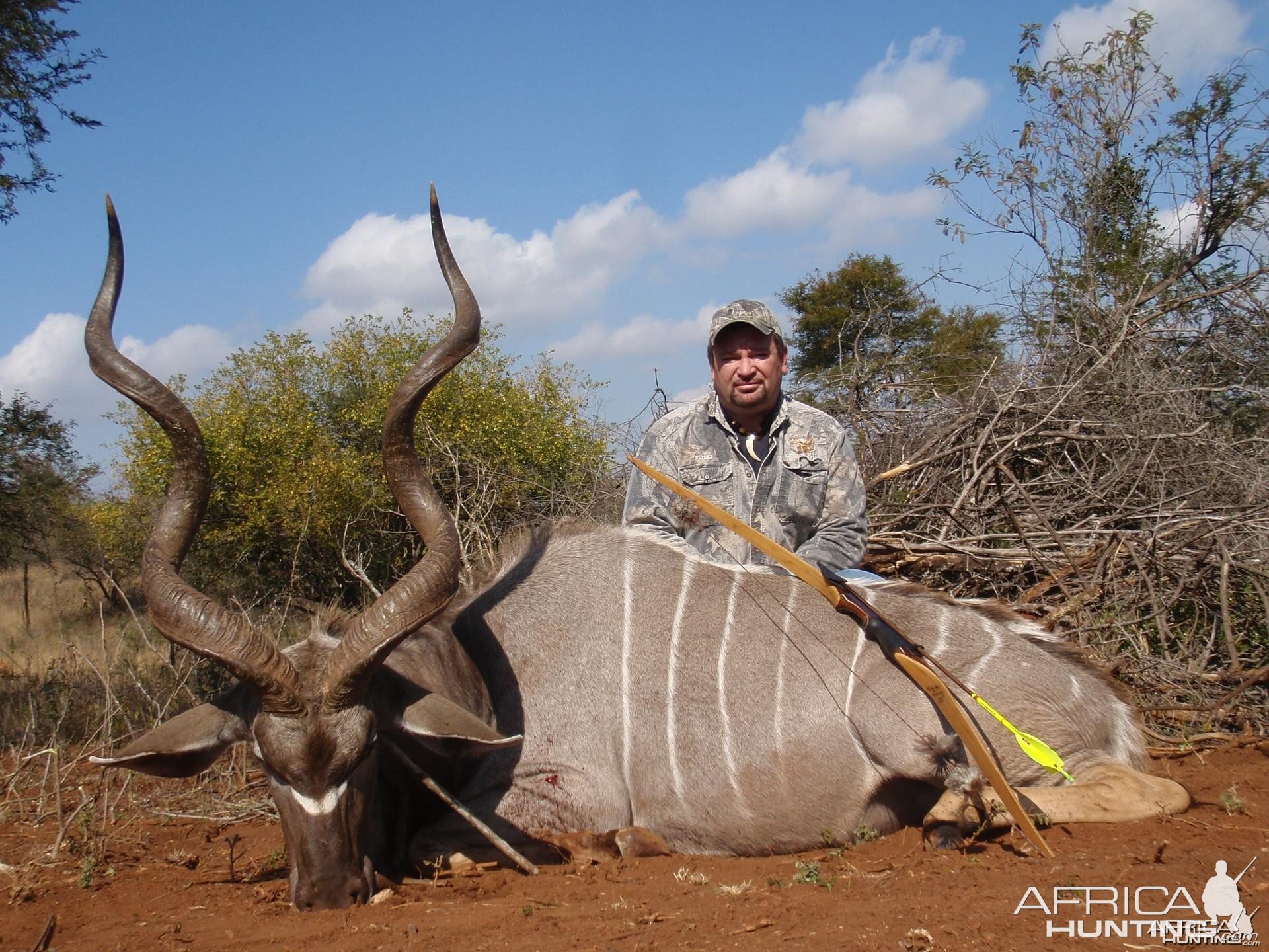 55" Kudu