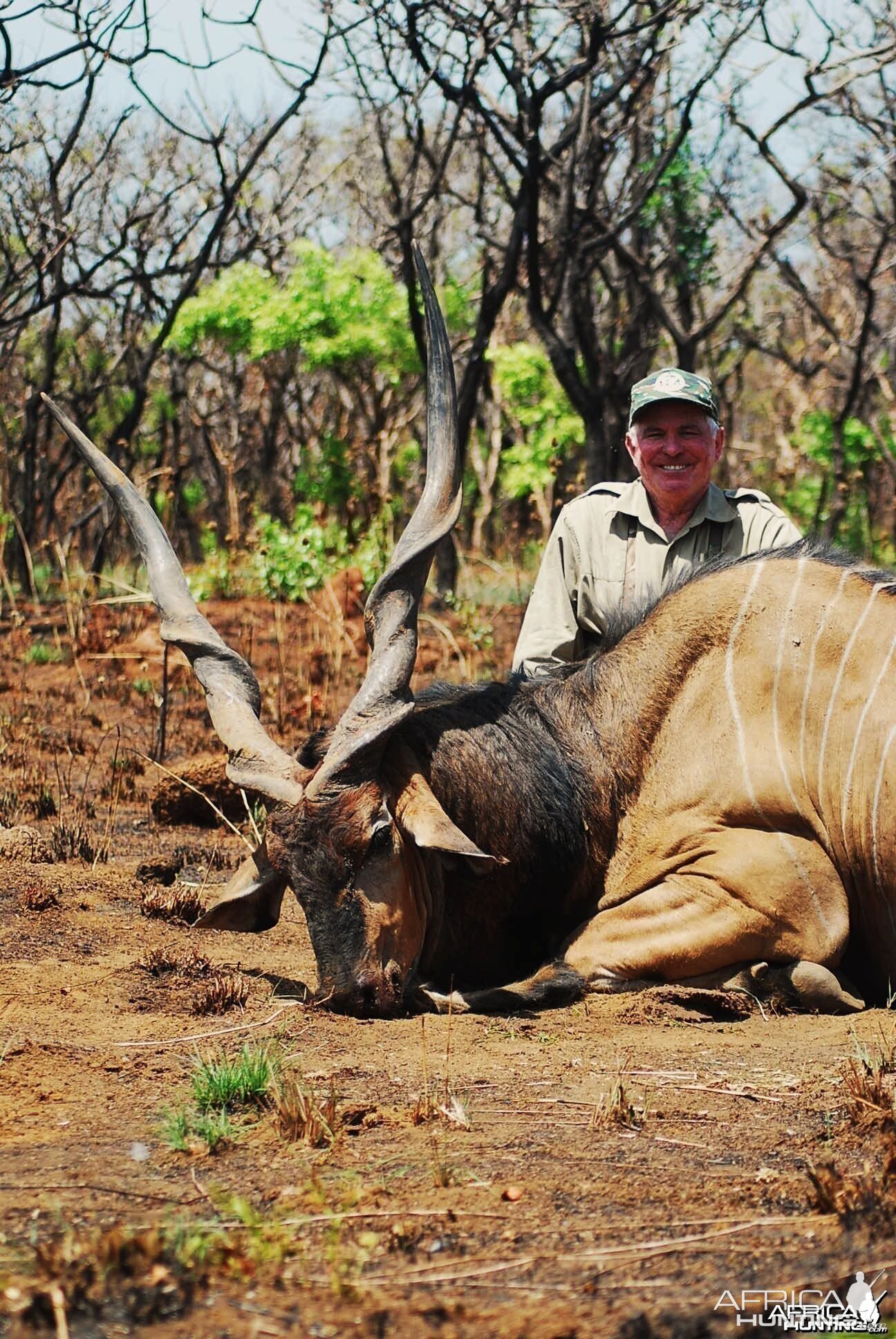 56 inch Eland hunted in CAR with Central African Wildlife Adventures