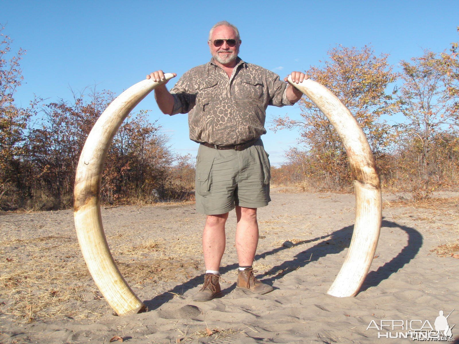 57 Lb. Botswana Elephant 2013