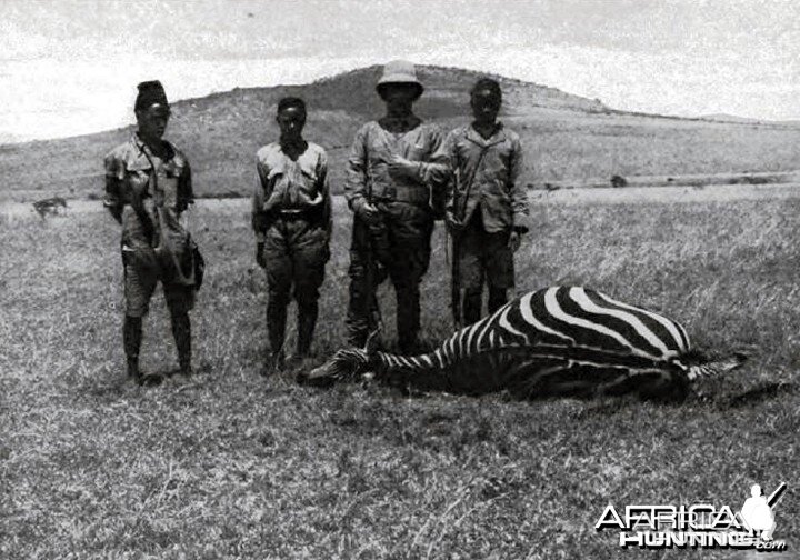A zebra shot by Theodore Roosevelt
