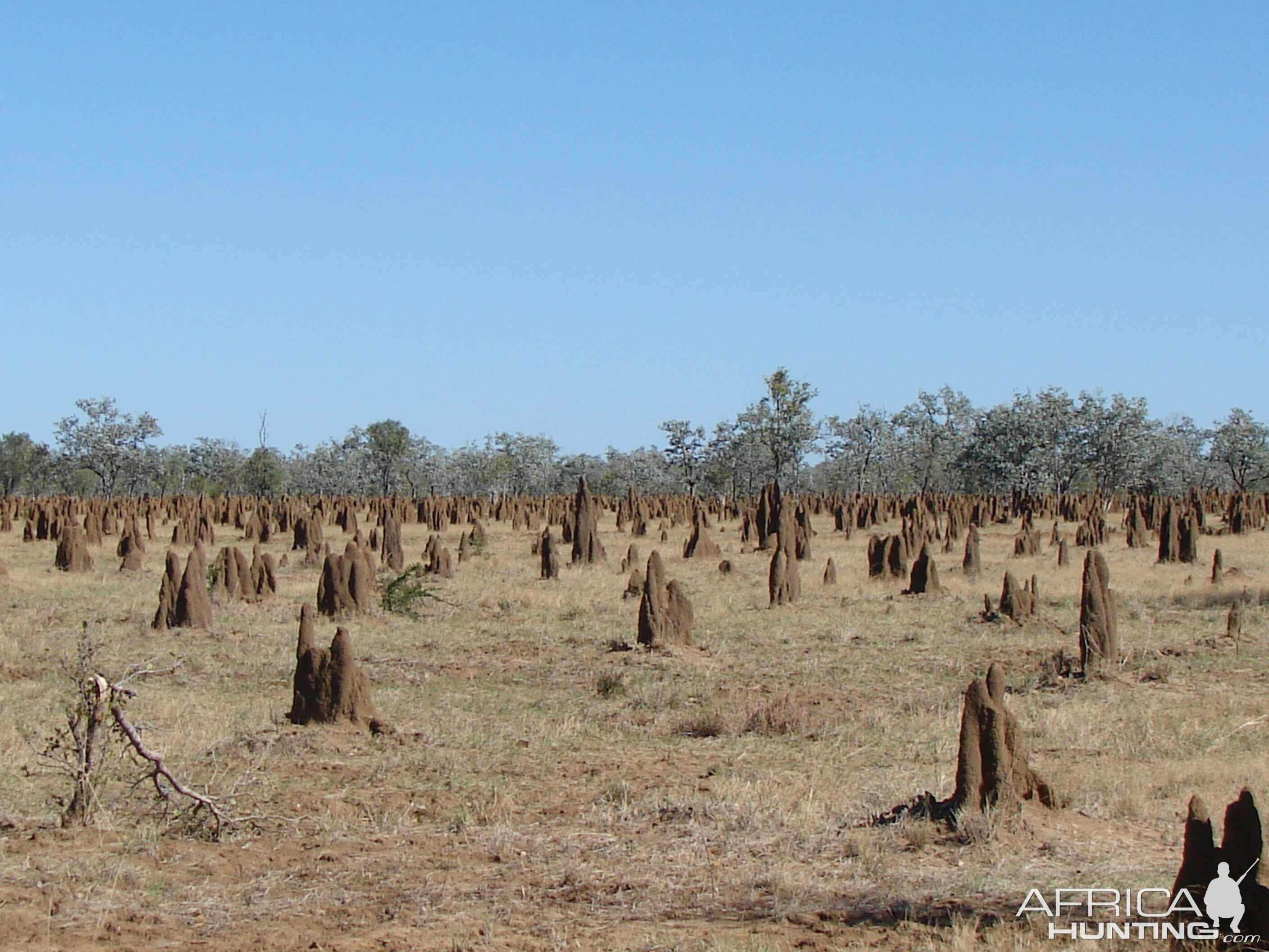 Arnhemland scenery & wildlife.