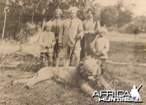 Asiatic Lion Hunt